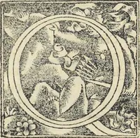 Picture 220 of 283 from Georgii Agricolae De re metallica : libri XII. Quibus officia, instrumenta, machinae, ac omnia deni[que] ad metallicam spectantia, non modo luculentissimè describuntur, sed & per effigies, suis locis infertas, adiunctis latinis, germanicis [que] appellationibus ita ob oculos ponuntur, ut clarius tradi non possint. ; Eiusdem De animantibus subterraneis liber, (1556), leaf 369