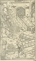 Picture 246 of 283 from Georgii Agricolae De re metallica : libri XII. Quibus officia, instrumenta, machinae, ac omnia deni[que] ad metallicam spectantia, non modo luculentissimè describuntur, sed & per effigies, suis locis infertas, adiunctis latinis, germanicis [que] appellationibus ita ob oculos ponuntur, ut clarius tradi non possint. ; Eiusdem De animantibus subterraneis liber, (1556), leaf 433