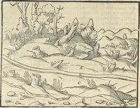 An illustration from Georgii Agricolae De re metallica : libri XII. Quibus officia, instrumenta, machinae, ac omnia deni[que] ad metallicam spectantia, non modo luculentissimè describuntur, sed & per effigies, suis locis infertas, adiunctis latinis, germanicis [que] appellationibus ita ob oculos ponuntur, ut clarius tradi non possint. ; Eiusdem De animantibus subterraneis liber, (1556)