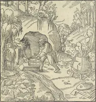 Picture 276 of 283 from Georgii Agricolae De re metallica : libri XII. Quibus officia, instrumenta, machinae, ac omnia deni[que] ad metallicam spectantia, non modo luculentissimè describuntur, sed & per effigies, suis locis infertas, adiunctis latinis, germanicis [que] appellationibus ita ob oculos ponuntur, ut clarius tradi non possint. ; Eiusdem De animantibus subterraneis liber, (1556), leaf 484