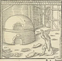 Picture 278 of 283 from Georgii Agricolae De re metallica : libri XII. Quibus officia, instrumenta, machinae, ac omnia deni[que] ad metallicam spectantia, non modo luculentissimè describuntur, sed & per effigies, suis locis infertas, adiunctis latinis, germanicis [que] appellationibus ita ob oculos ponuntur, ut clarius tradi non possint. ; Eiusdem De animantibus subterraneis liber, (1556), leaf 486