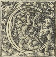 An illustration from Georgii Agricolae De re metallica : libri XII. Quibus officia, instrumenta, machinae, ac omnia deni[que] ad metallicam spectantia, non modo luculentissimè describuntur, sed & per effigies, suis locis infertas, adiunctis latinis, germanicis [que] appellationibus ita ob oculos ponuntur, ut clarius tradi non possint. ; Eiusdem De animantibus subterraneis liber, (1556)