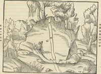 Picture 15 of 283 from Georgii Agricolae De re metallica : libri XII. Quibus officia, instrumenta, machinae, ac omnia deni[que] ad metallicam spectantia, non modo luculentissimè describuntur, sed & per effigies, suis locis infertas, adiunctis latinis, germanicis [que] appellationibus ita ob oculos ponuntur, ut clarius tradi non possint. ; Eiusdem De animantibus subterraneis liber, (1556), leaf 50