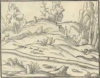 An illustration from Georgii Agricolae De re metallica : libri XII. Quibus officia, instrumenta, machinae, ac omnia deni[que] ad metallicam spectantia, non modo luculentissimè describuntur, sed & per effigies, suis locis infertas, adiunctis latinis, germanicis [que] appellationibus ita ob oculos ponuntur, ut clarius tradi non possint. ; Eiusdem De animantibus subterraneis liber, (1556)