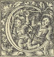 An illustration from Georgii Agricolae De re metallica : libri XII. Quibus officia, instrumenta, machinae, ac omnia deni[que] ad metallicam spectantia, non modo luculentissimè describuntur, sed & per effigies, suis locis infertas, adiunctis latinis, germanicis [que] appellationibus ita ob oculos ponuntur, ut clarius tradi non possint. ; Eiusdem De animantibus subterraneis liber, (1556)