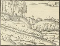 An illustration from Georgii Agricolae De re metallica : libri XII. Quibus officia, instrumenta, machinae, ac omnia deni[que] ad metallicam spectantia, non modo luculentissimè describuntur, sed & per effigies, suis locis infertas, adiunctis latinis, germanicis [que] appellationibus ita ob oculos ponuntur, ut clarius tradi non possint. ; Eiusdem De animantibus subterraneis liber, (1556)