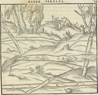 An illustration from Georgii Agricolae De re metallica : libri XII. Quibus officia, instrumenta, machinae, ac omnia deni[que] ad metallicam spectantia, non modo luculentissimè describuntur, sed & per effigies, suis locis infertas, adiunctis latinis, germanicis [que] appellationibus ita ob oculos ponuntur, ut clarius tradi non possint. ; Eiusdem De animantibus subterraneis liber, (1556)