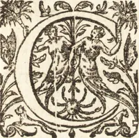 Picture 13 of 21 from Ivsti LipsI Epistolarvm selectarvm centvria prima-[qvinta] miscellanea (1605), leaf 232
