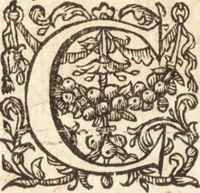An illustration from Iusti LipsI Monita et exempla politica : libri dvo qui virtutes et vitia principum spectant (1606)