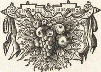 An illustration from Klare en waarachtige beschryving van de leste beroerten en afval der Portugezen in Brasil; daar in d'oorsprong dezer zwarigheden en oorlogen klarelijk vertoont worden (1652)
