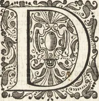An illustration from Klare en waarachtige beschryving van de leste beroerten en afval der Portugezen in Brasil; daar in d'oorsprong dezer zwarigheden en oorlogen klarelijk vertoont worden (1652)