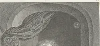 An illustration from Collection de cent-vingt estampes, gravées d'après les tableaux & dessins qui composoient le cabinet de M. Poullain, receveur général des domaines du roi, décédé en 1780 : précédé d'un abrégé historique de la vie des auteurs qui la composent (1781)