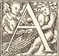 Picture 76 of 82 from D. Gregorii Nazianzeni Orationes XXX (1531), leaf 381