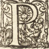 An illustration from Histoire naturelle et moralle des Indes, tant orientalles qu'occidentalles : où il est traittʹe des choses remarquables du ciel, des elemens, metaux, plantes & animaux qui sont propres de ce païs : ensemble des mœurs, ceremonies, loix, gouuernemens & guerres des mesmes Indiens (1606)