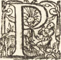An illustration from Histoire naturelle et moralle des Indes, tant orientalles qu'occidentalles : où il est traittʹe des choses remarquables du ciel, des elemens, metaux, plantes & animaux qui sont propres de ce païs : ensemble des mœurs, ceremonies, loix, gouuernemens & guerres des mesmes Indiens (1606)