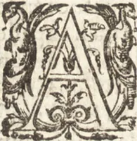 An illustration from Histoire naturelle et moralle des Indes, tant orientalles qu'occidentalles : où il est traittʹe des choses remarquables du ciel, des elemens, metaux, plantes & animaux qui sont propres de ce païs : ensemble des mœurs, ceremonies, loix, gouuernemens & guerres des mesmes Indiens (1606)