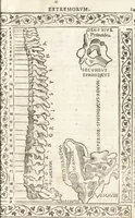 An illustration from Isagogae breues, p[er]lucidȩ ac uberrimȩ, in anatomiã humani corporis a cõmuni medicorũ academia usitatã (1523)