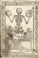 An illustration from Isagogae breues, p[er]lucidȩ ac uberrimȩ, in anatomiã humani corporis a cõmuni medicorũ academia usitatã (1523)