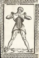 An illustration from Isagogae breues, p[er]lucidȩ ac uberrimȩ, in anatomiã humani corporis a cõmuni medicorũ academia usitatã (1523)