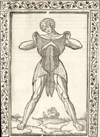 An illustration from Isagogae breues, p[er]lucidȩ ac uberrimȩ, in anatomiã humani corporis a cõmuni medicorũ academia usitatã (1523)