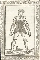 An illustration from Isagogae breues, p[er]lucidȩ ac uberrimȩ, in anatomiã humani corporis a cõmuni medicorũ academia usitatã (1523)