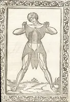 An illustration from Isagogae breues, p[er]lucidȩ ac uberrimȩ, in anatomiã humani corporis a cõmuni medicorũ academia usitatã (1523)