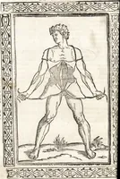 An illustration from Isagogae breues, p[er]lucidȩ ac uberrimȩ, in anatomiã humani corporis a cõmuni medicorũ academia usitatã (1523)