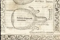 Picture 11 of 27 from Isagogae breues, p[er]lucidȩ ac uberrimȩ, in anatomiã humani corporis a cõmuni medicorũ academia usitatã (1523), leaf 56