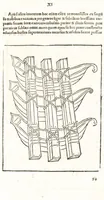 An illustration from Elenchus & index rerum militarium quae singulis codicis huius in uoluminibus continetur ut inpromptu sint uniuersa hoc est ne talium rerum curiosa perlegen ..