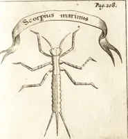 Picture 13 of 61 from Francisci Redi patricii Aretini, Opusculorum pars prior, sive, Experimenta circa generationem insectorum : accedit J. Frid. Lachmund, De ave diomedea dissertatio (1685), leaf 242