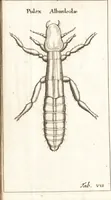 Picture 19 of 61 from Francisci Redi patricii Aretini, Opusculorum pars prior, sive, Experimenta circa generationem insectorum : accedit J. Frid. Lachmund, De ave diomedea dissertatio (1685), leaf 265