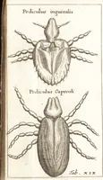An illustration from Francisci Redi patricii Aretini, Opusculorum pars prior, sive, Experimenta circa generationem insectorum : accedit J. Frid. Lachmund, De ave diomedea dissertatio (1685)