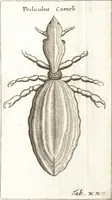 Picture 33 of 61 from Francisci Redi patricii Aretini, Opusculorum pars prior, sive, Experimenta circa generationem insectorum : accedit J. Frid. Lachmund, De ave diomedea dissertatio (1685), leaf 290
