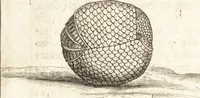 Picture 48 of 61 from Francisci Redi patricii Aretini, Opusculorum pars prior, sive, Experimenta circa generationem insectorum : accedit J. Frid. Lachmund, De ave diomedea dissertatio (1685), leaf 467