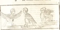 Picture 8 of 91 from De profanis et sacris veteribus ritibus (1644), leaf 71