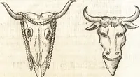 An illustration from De profanis et sacris veteribus ritibus (1644)