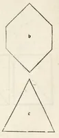 An illustration from Preclarissimũ opus elemento[rum]