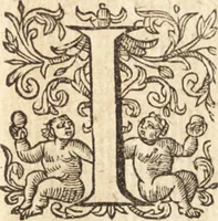 An illustration from Ivsti LipsI Opera omnia qvæ ad criticam proprie spectant : postremùm ab ipso aucta, correcta, digesta : quorum omnium index & ordo post præfationem (1611)