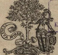 An illustration from Javaense reyse : gedaen van Batavia over Samarangh na de konincklijcke hoofd-plaets Mataram, door de heere N.N. in den jare 1656 .. (1667)