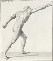 Picture 46 of 52 from Anatomia per uso et intelligenza del disegno; ricercata non solo su gl'ossi e muscoli del corpo humano, ma dimostrata ancora su le statue antiche più insigni di Roma; (1691), leaf 104