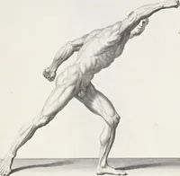 An illustration from Anatomia per uso et intelligenza del disegno; ricercata non solo su gl'ossi e muscoli del corpo humano, ma dimostrata ancora su le statue antiche più insigni di Roma; (1691)