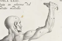 Picture 32 of 52 from Anatomia per uso et intelligenza del disegno; ricercata non solo su gl'ossi e muscoli del corpo humano, ma dimostrata ancora su le statue antiche più insigni di Roma; (1691), leaf 82
