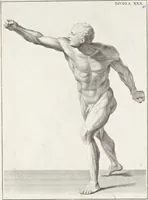 An illustration from Anatomia per uso et intelligenza del disegno; ricercata non solo su gl'ossi e muscoli del corpo humano, ma dimostrata ancora su le statue antiche più insigni di Roma; (1691)