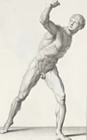 An illustration from Anatomia per uso et intelligenza del disegno; ricercata non solo su gl'ossi e muscoli del corpo humano, ma dimostrata ancora su le statue antiche più insigni di Roma; (1691)