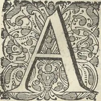 An illustration from Architectura militaris nova et aucta, oder, Newe vermehrte Fortification von regular Vestungen, von irregular Vestungen vnd Aussen wercken, von Praxi offensiva vnd defensiva : auff die neweste Niederländische Praxin gerichtet vnd beschrieben (1665)