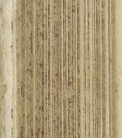 An illustration from Architectura militaris nova et aucta, oder, Newe vermehrte Fortification von regular Vestungen, von irregular Vestungen vnd Aussen wercken, von Praxi offensiva vnd defensiva : auff die neweste Niederländische Praxin gerichtet vnd beschrieben (1665)