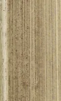 An illustration from Architectura militaris nova et aucta, oder, Newe vermehrte Fortification von regular Vestungen, von irregular Vestungen vnd Aussen wercken, von Praxi offensiva vnd defensiva : auff die neweste Niederländische Praxin gerichtet vnd beschrieben (1665)