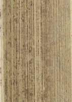 An illustration from Architectura militaris nova et aucta, oder, Newe vermehrte Fortification von regular Vestungen, von irregular Vestungen vnd Aussen wercken, von Praxi offensiva vnd defensiva : auff die neweste Niederländische Praxin gerichtet vnd beschrieben (1665)