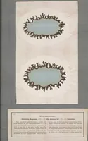 An illustration from Der Bildungstrieb der Stoffe : veranschaulicht in selbstständig gewachsenen Bildern (Fortsetzung der Musterbilder) (1855)