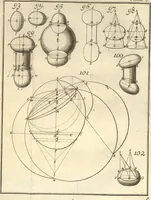 An illustration from La théorie et la pratique de la coupe des pierres et des bois, pour la construction des voutes et autres parties des bâtimens civils & militaires, ou, Traité de stéréotomie à l'usage de l'architecture (1754)